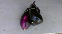 img1