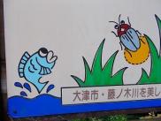 img4