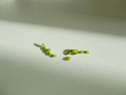 img3