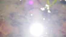 img1