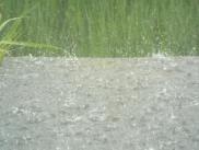 img1