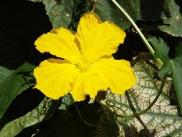 img1
